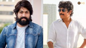 nagarjuna-netizens-comparing-nagarjuna-and-yash-behavior