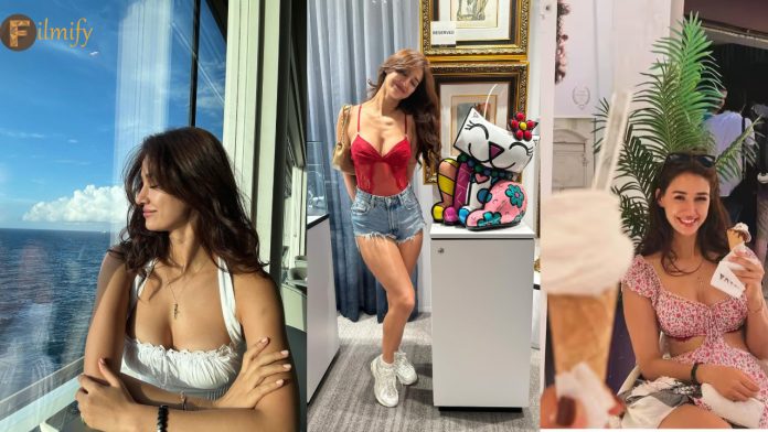 Disha patani: Disha giving unlimited treat with beauty.. Photos viral..!