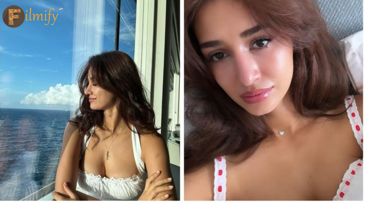 Disha patani: Disha giving unlimited treat with beauty.. Photos viral..!