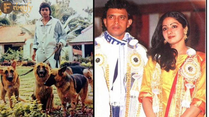 Bollywood Hero: The hero who wrote Rs. 45 crores for dogs.. also had an affair with her..!