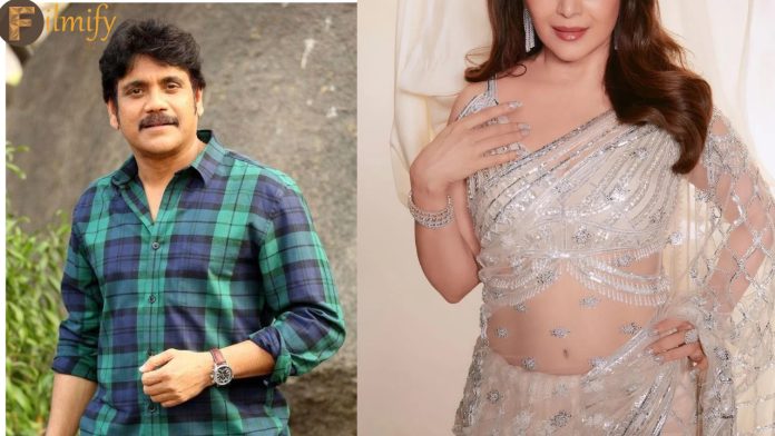 Nagarjuna: That star is obsessed with the heroine.. if it is cut..!