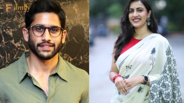 Niharika: Niharika is hoping for Akkineni's hero and not mega heroes..?