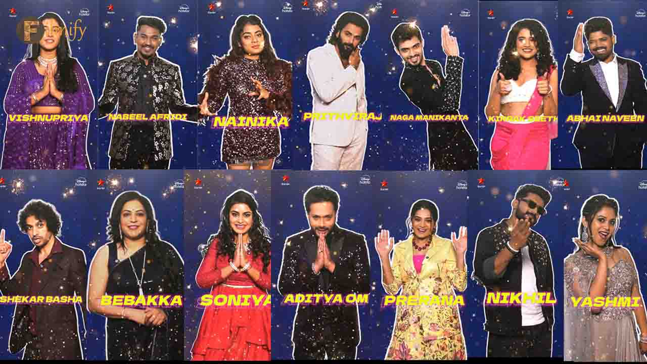 List of 14 Contestants in Biggboss Season 8