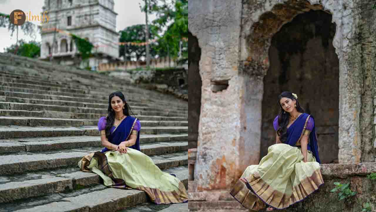 NabhaNatesh Latest Photoshoots Wiral On Social Media
